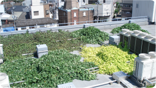 屋上に設置されたヒートアイランド緩和システム